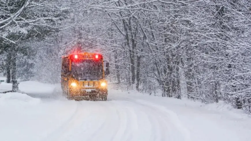 Ecoles Fermees 16 Mars Abitibi-Témiscamingue Leaves Schools Closed and Travel Widespreadly Disrupted