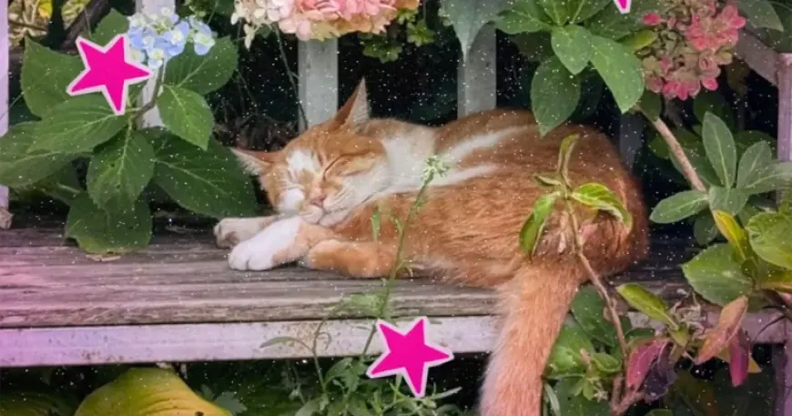 First Day Of Spring 2026 Arrives: What the Equinox Means and What to Expect