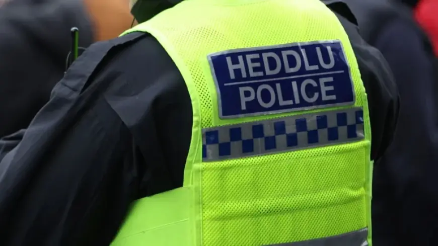 Online Weapons Threats in Cardiff Trigger Closure of Two Schools and Increased Police Presence