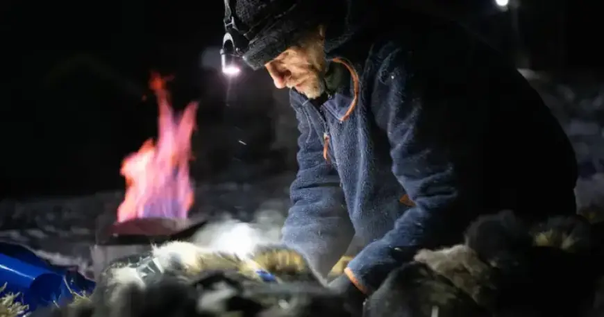 Jessie Holmes Secures Back-to-Back Iditarod Championships