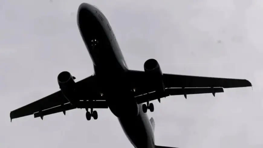 Tampa Airport Delays Frustrate Travelers Amid Flight Cancellations