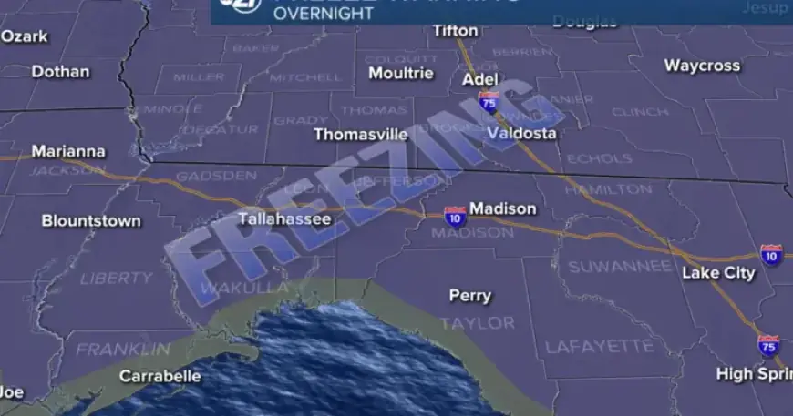 Overnight Freeze Warning: Most Areas to Experience Drop on 03/17/2026