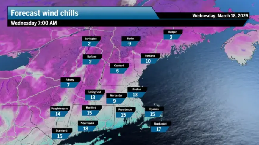 Sunny Skies and Cold Temperatures Dominate a Calm Wednesday