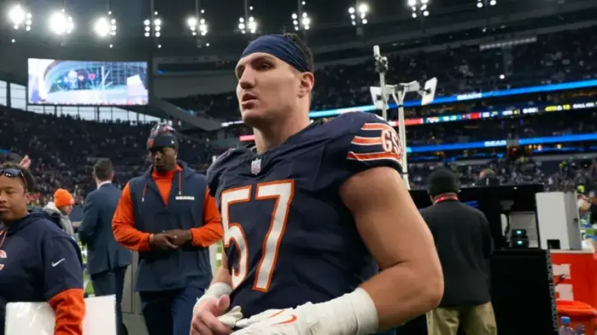 Chicago Bears Re-sign Former Linebacker to Strengthen Defense