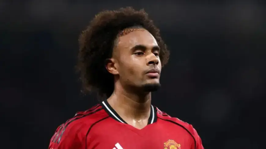 Man Utd Plans Joshua Zirkzee Departure as Striker Seeks Old Trafford Exit