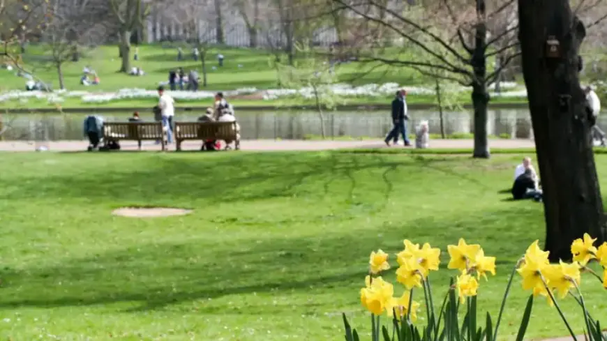 UK Weather: Sunshine Brings 21C Temperatures