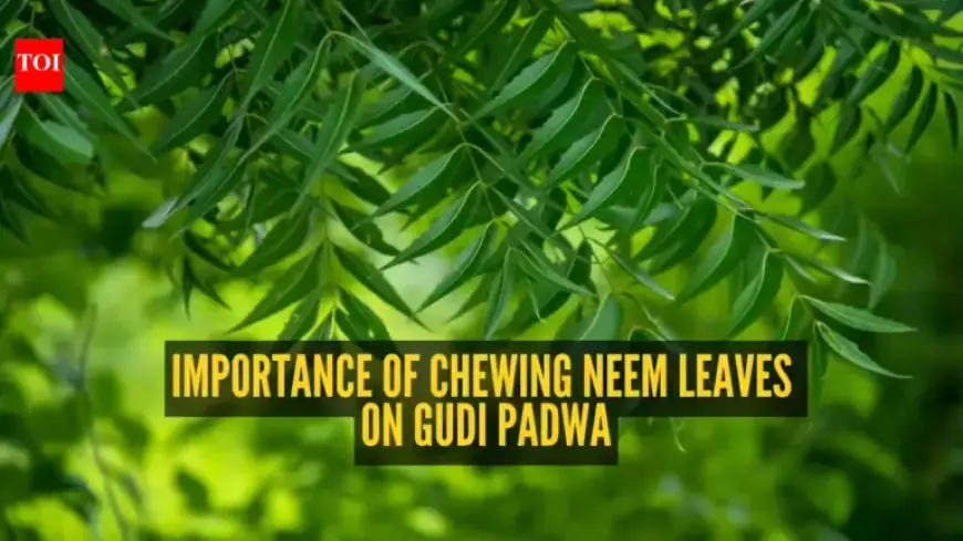 Gudi Padwa 2026: Discover Why Neem Leaves are Eaten on Hindu New Year