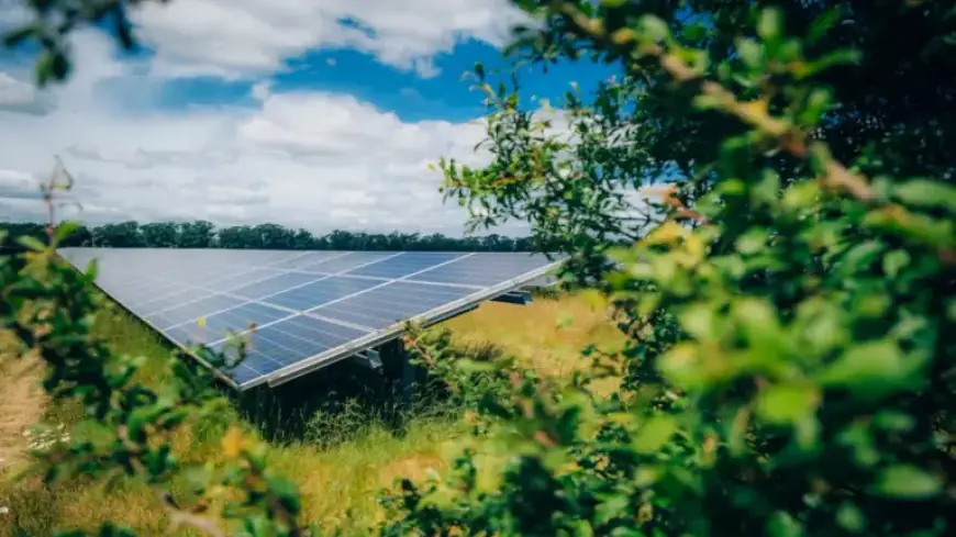 Low Carbon Secures 240 MW Solar Projects in the UK