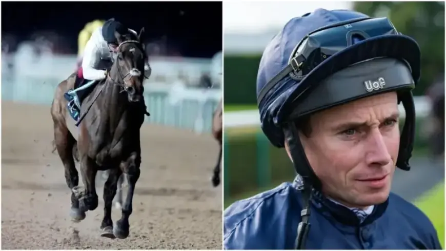 Constitution Hill Rides Kempton on Wednesday Night with Ryan Moore