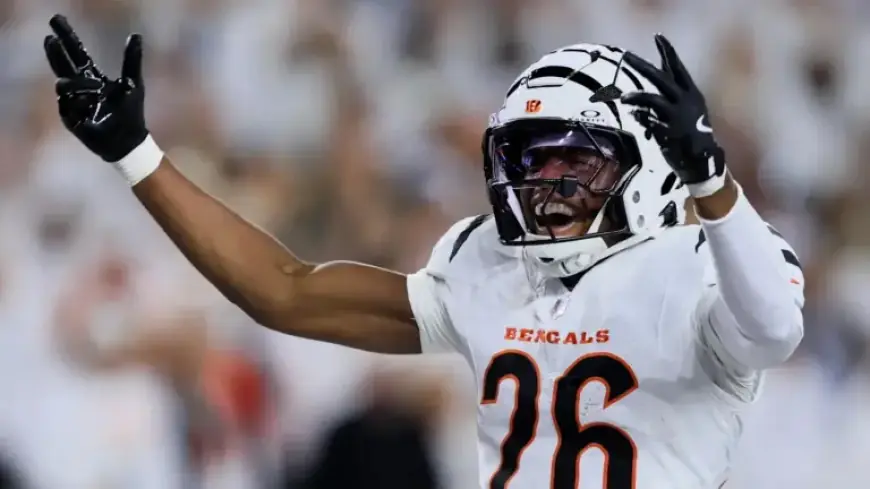 Tycen Anderson Likely to Stay with Cincinnati Bengals, Sources Suggest