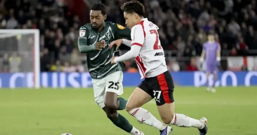 Paddy Davitt: Maghoma Shines in Southampton’s Player Ratings