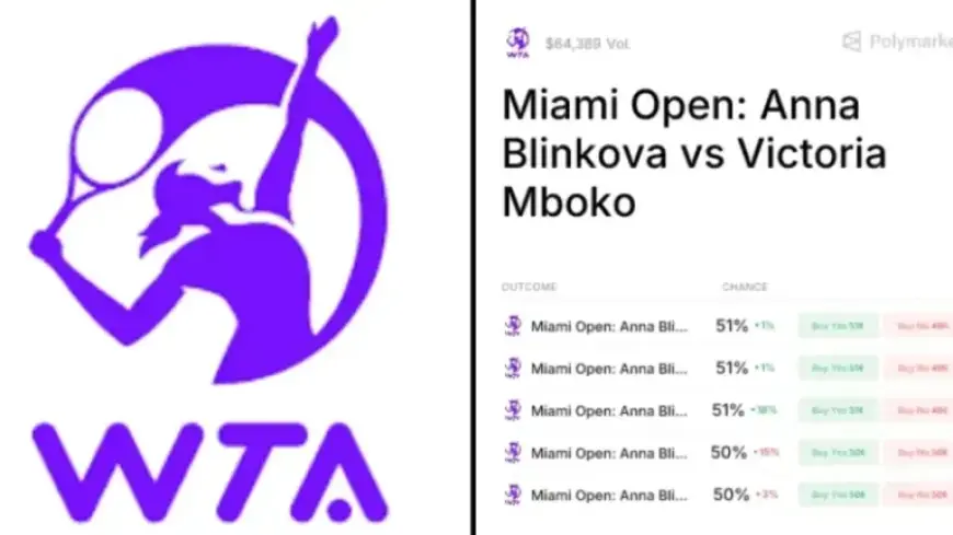 Public Struggles to Verify Basics of Anna Blinkova Match Hype