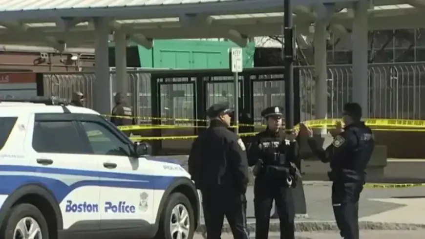 Police Arrest Knife-Wielding Suspect After Forest Hills Bus Station Struggle