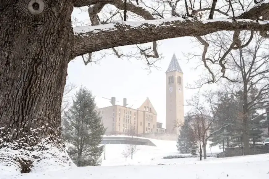 Evaluating the Value of a Cornell Master’s Degree