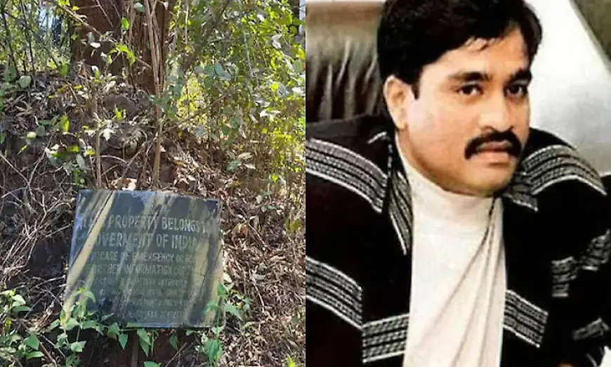 Dawood Ibrahim Properties Successfully Auctioned in Ratnagiri After Long Delays
