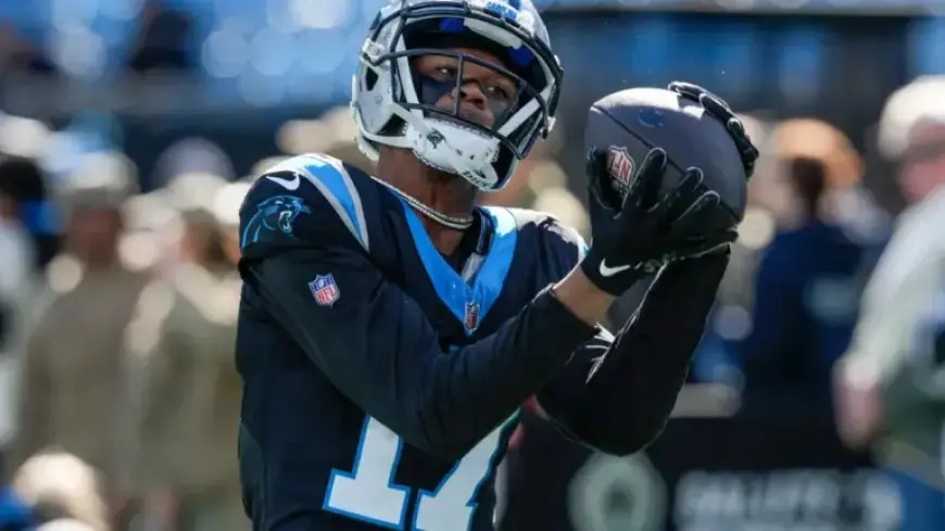 Ex-Panthers Receiver Retires from NFL at 29