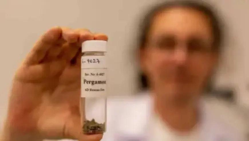 Iraola Emerges as Strong Candidate for San Mamés Coaching Role