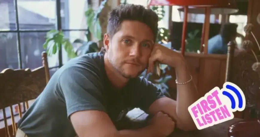 Niall Horan Hosts Exclusive Dinner Party for First Listen Experience
