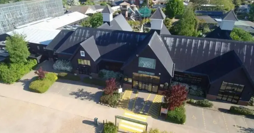 Beloved Zoo Reveals Name of Newest Arrival