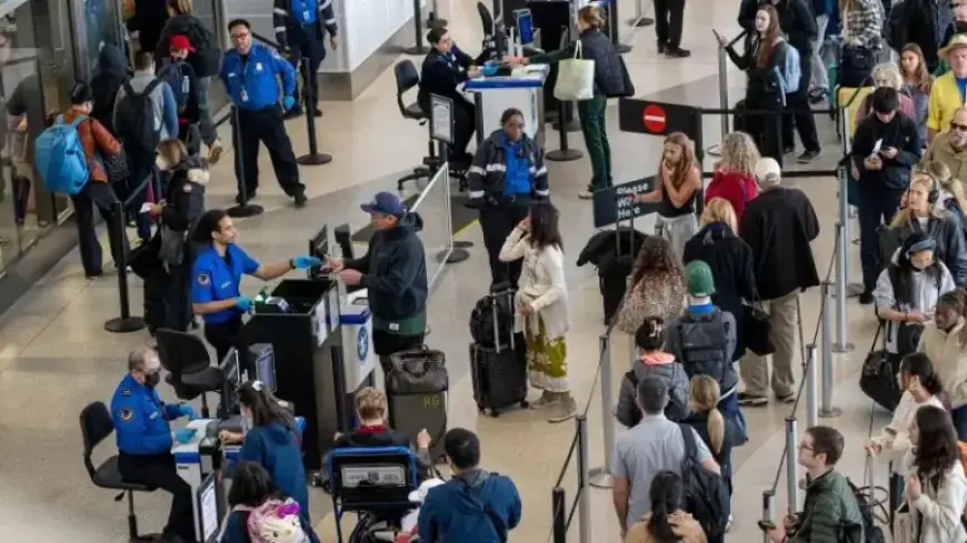 20 US Airports Skip TSA: Experience Shorter Passenger Lines