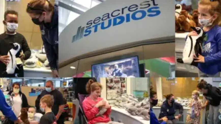 Ryan Sessegnon Goal Odds & Props Against Burnley FC – March 21