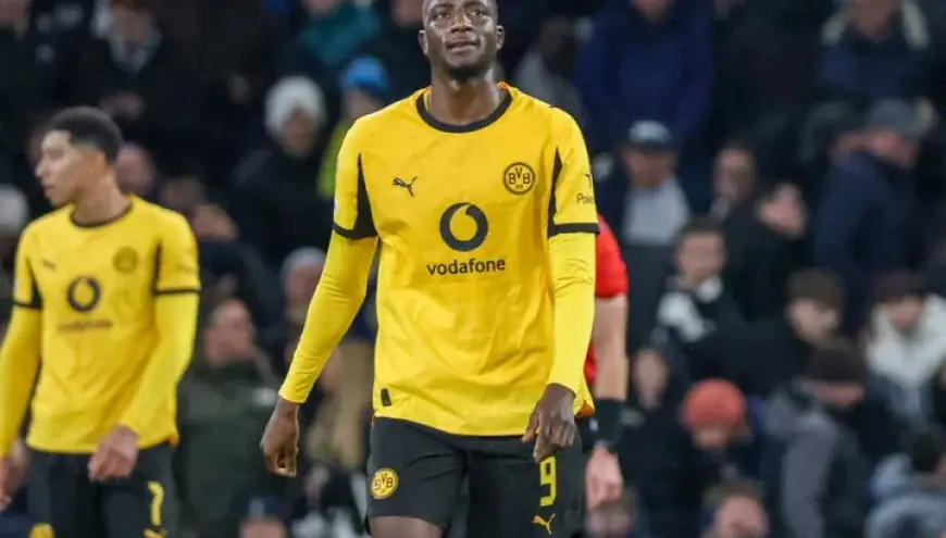 Borussia Dortmund vs Hamburger SV: Predictions, Team News, and Lineups Preview