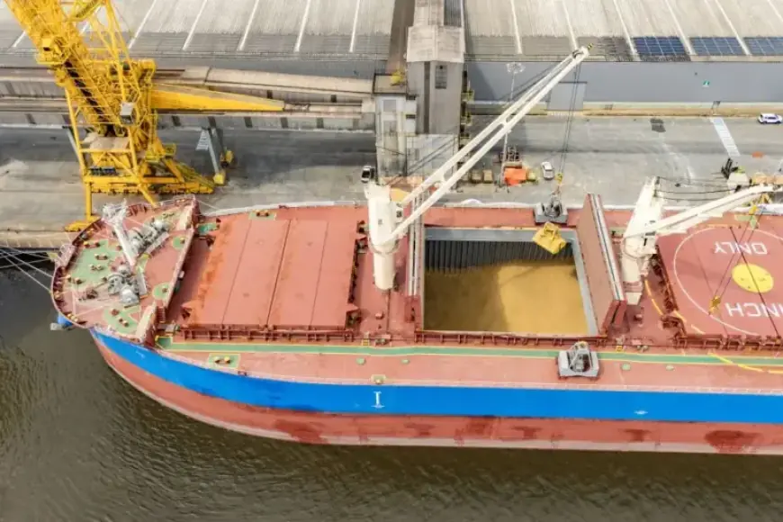 Record: Largest Barley Shipment Registered at Paranaguá Port