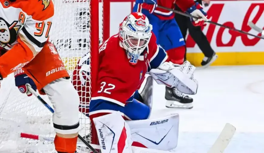 Islanders Face Canadiens: Top Predictions, Picks & Odds for NHL Match