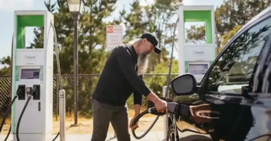 Essential Tips on Batteries and Warranties for Buying a Used EV