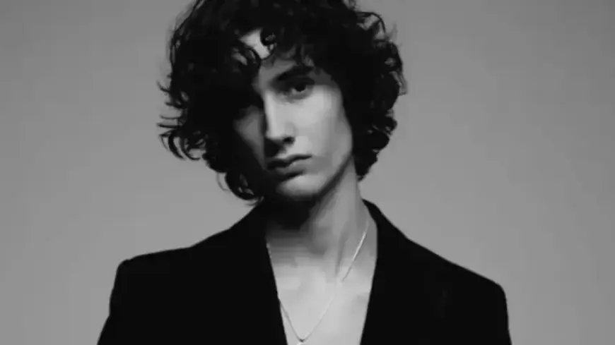 Sombr Halts Show for Safety: Examining UK Concert Emergency Flaws