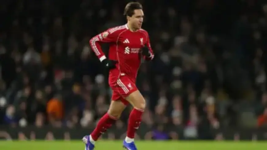 Santa Barbara, Lompoc Join ‘No Kings’ Protests Nationwide on March 28