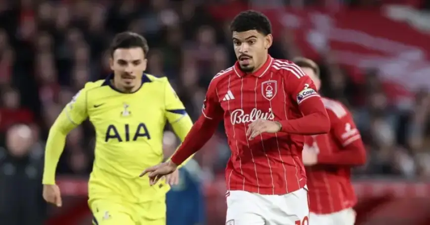 Tottenham’s Season Transformed if Gibbs-White and Targets Joined