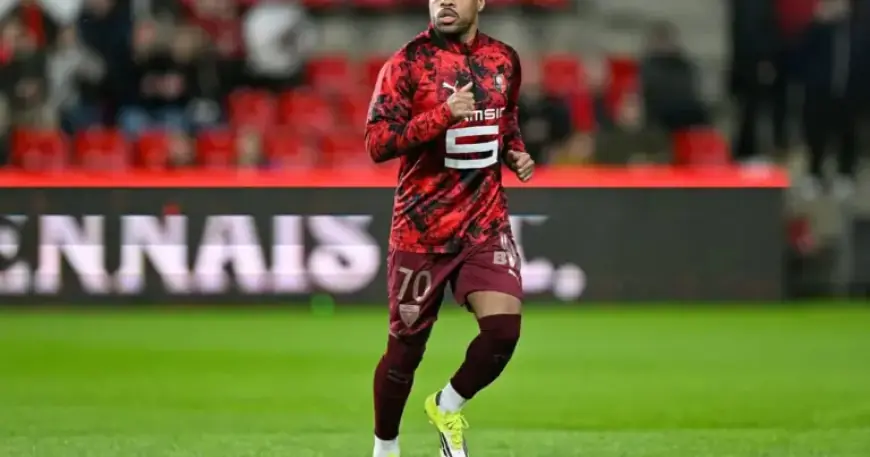 Stade Rennais Pursues Ligue des Champions Dream