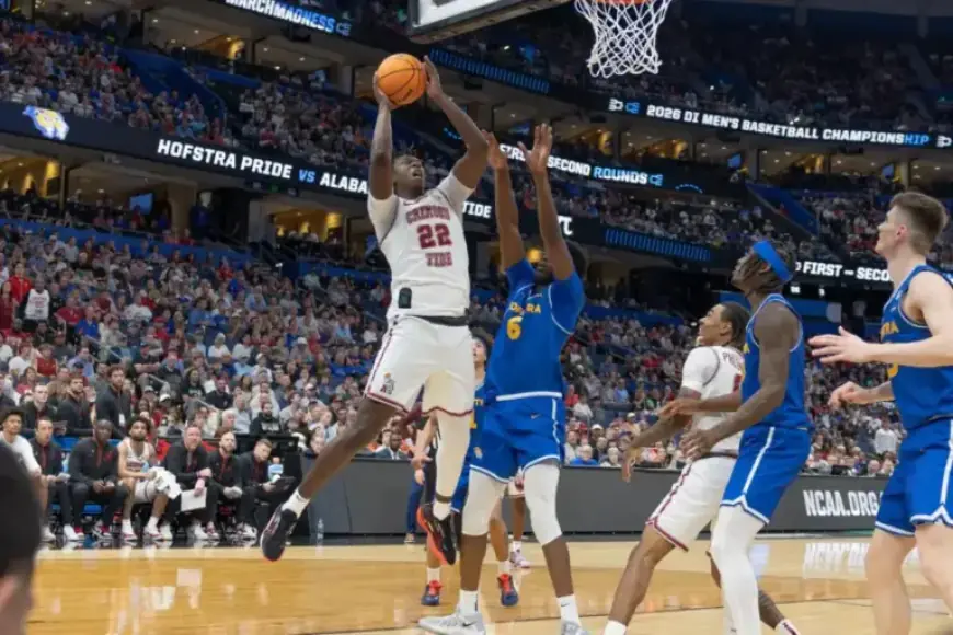 Sherrell Secures Career-High Rebounds in Victory Over Hofstra