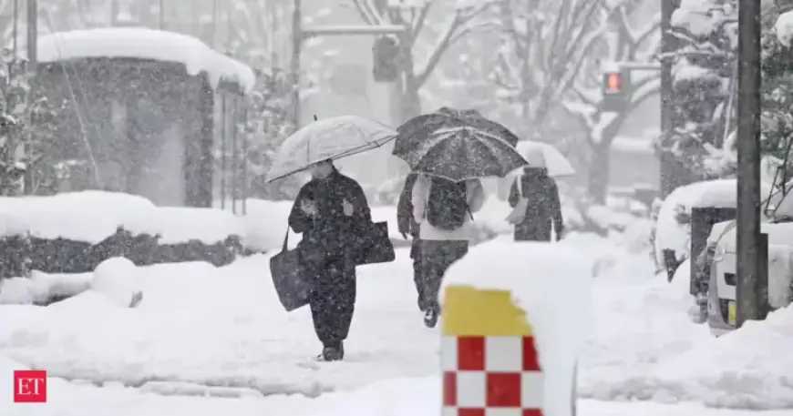 Severe Snow Alert: Expect Up to 10 Inches, Travel Disruptions Likely