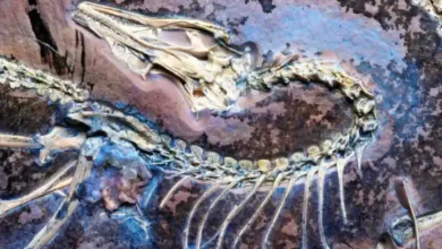 Danhausen Curses IShowSpeed on 3/23 WWE RAW Episode