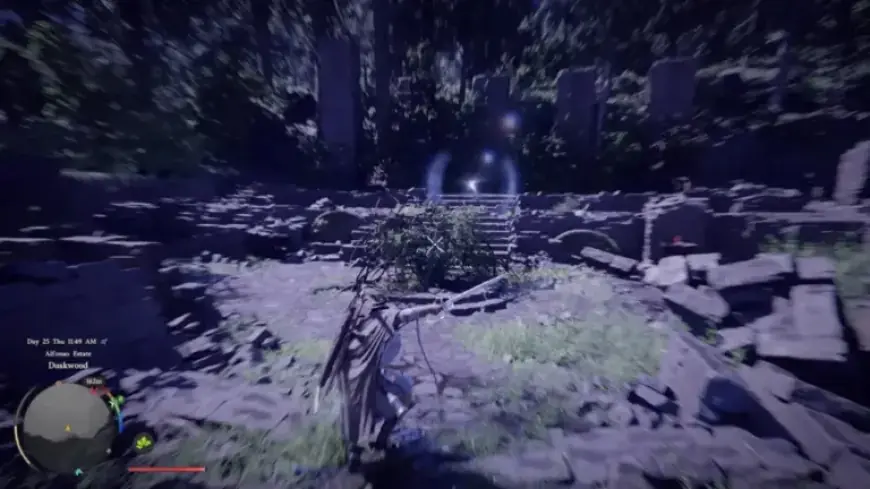 Solve Duskwood Ruins Puzzle: Crimson Desert Guide