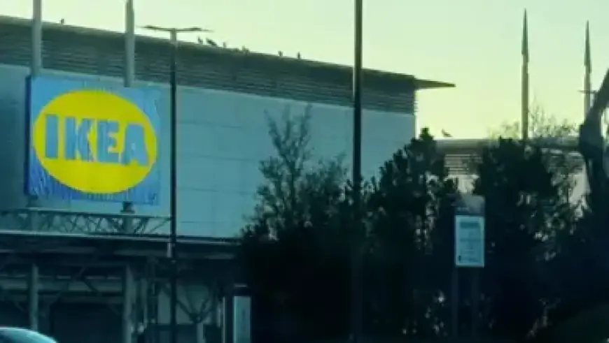 “Heart’s Bullet: Genova’s Final Summer Unveiled”