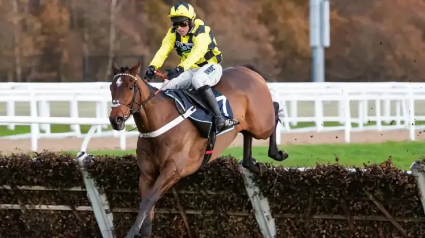 Sir Gino Succumbs to Battle with Deep-Seated Infections