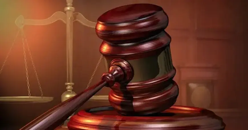 Senator Jesse James’ Daughter Arrested for Campaign Theft