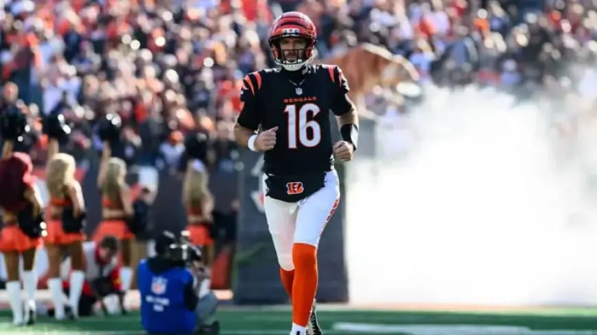 Joe Flacco Rejoins the Bengals: Reports