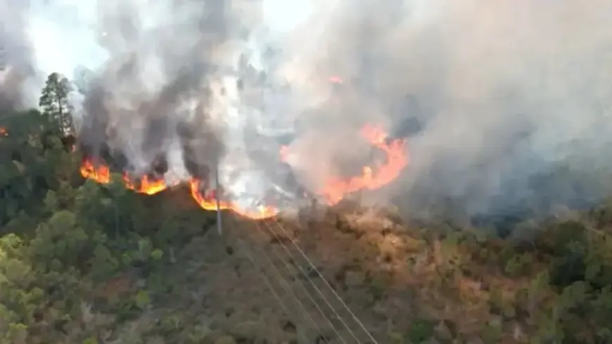 Gulf State Park Fire Shuts Down Fort Morgan East on Highway 59