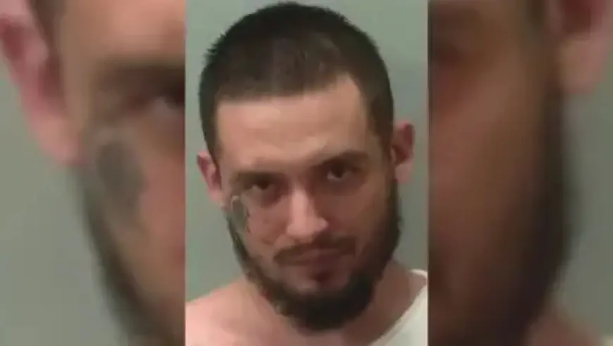 LaMelo Ball’s Hunger to Learn Drives Hornets’ Resurgence