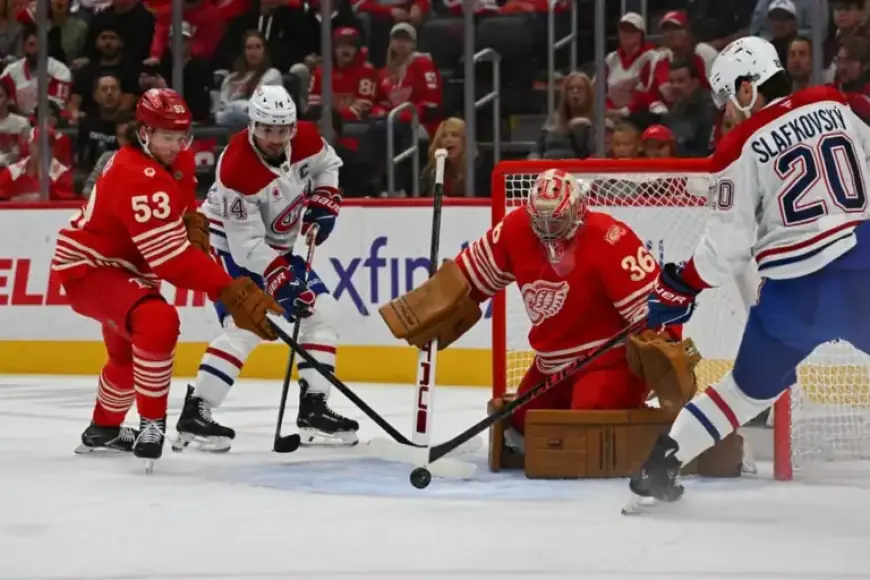 Senators vs. Red Wings: Lineups, Goaltenders, Viewing Guide