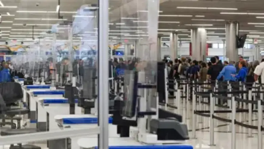 Special State Senate Election Results: Jay Collins’ Successor Announced