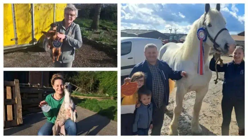 Meet the Three Montreuillois Farmers Honored at the Agriculture Expo