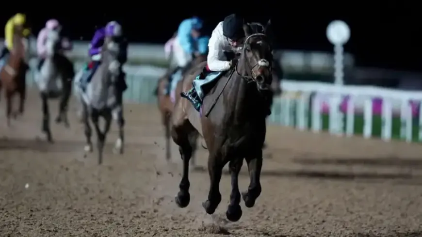 Constitution Hill’s Anticipated Performance in Second Flat Race at Kempton