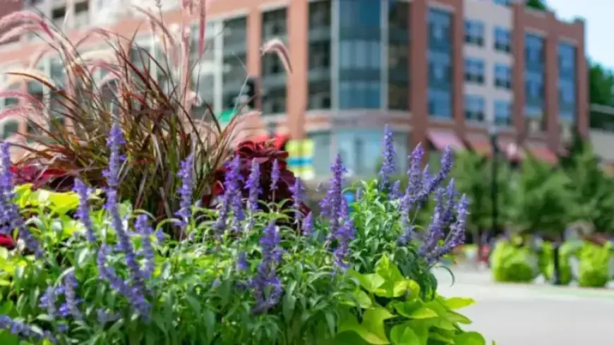 Northwestern University Supports “Hop Around Evanston” Spring Shuttle to Boost Local Business