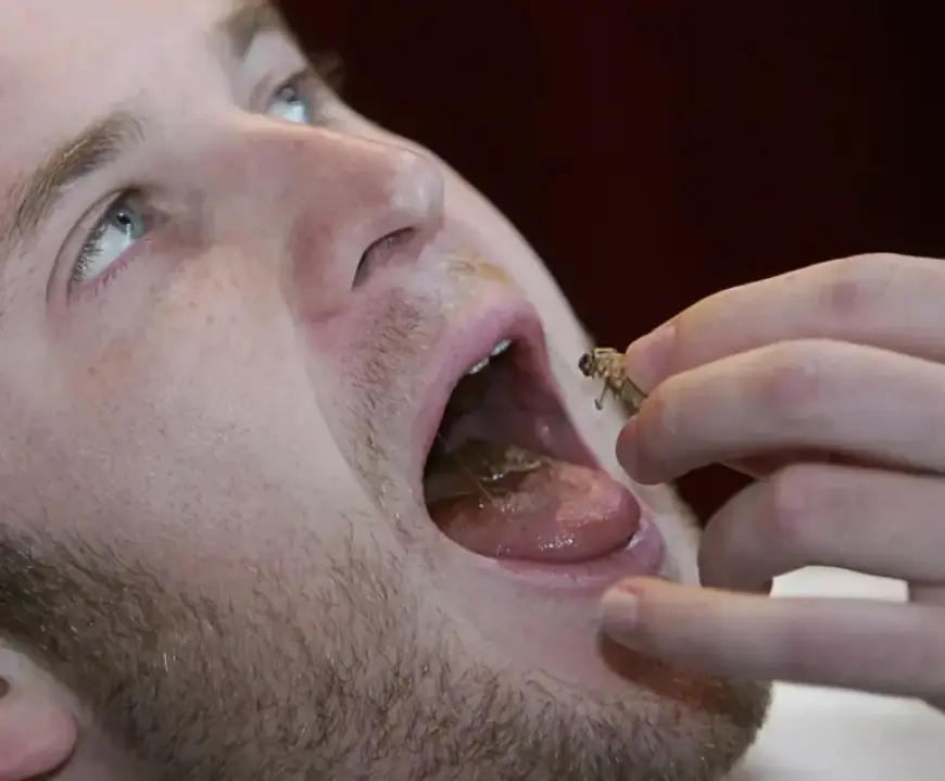 “Watch ‘Fear Factor: House of Fear’ Finale Free Tonight”