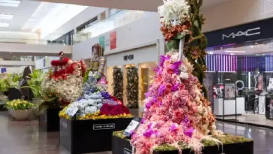 White House Warns: Trump Ready to Act if Iran Rejects Deal